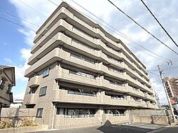 物件画像 モアグレース末広　〜リノベーション済×ペット可〜