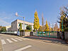 周辺：柏市立高柳中学校（1130m）