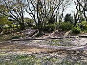 船戸ときわ台公園（690m）