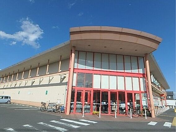 レオネクストフェリチタ 美崎_周辺_0