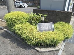 5 / 9