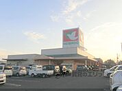 フレンドマート　湖東店まで1300メートル