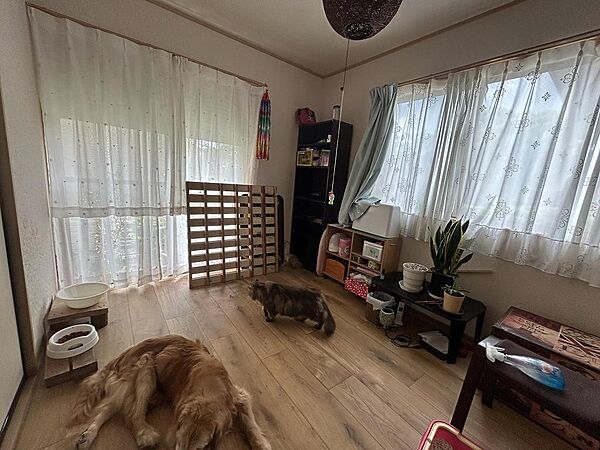 洋室