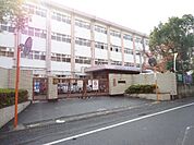 医生丘小学校(793m)