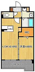 グレイス折尾 5階