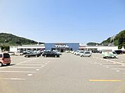 トライアル(1、500m)