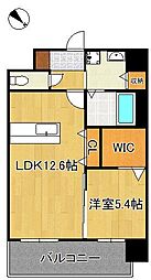 RISO CORE 10階1LDKの間取り