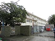筒井小学校(300m)