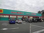 株式会社コスモス薬品／ディスカウントドラッグコスモ(361m)
