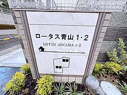17 / 33