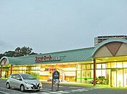 スピナマート穴生店(890m)