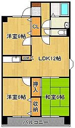 アビタシオンオキ 5階/-