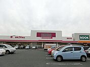 マックスバリュ真名子店 (810m)