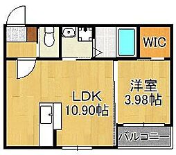 エクスヴィータ新入 1階
