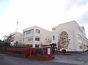 中間高校(157m)