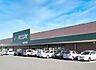 周辺：フレッセイ富塚店（徒歩7分）