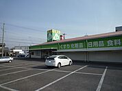 ドラッグストア 「白沢ドラッグまで360m」