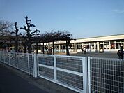 幼稚園、保育園「藤里保育園まで530m」