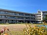 周辺：習志野市立新習志野こども園　徒歩5分