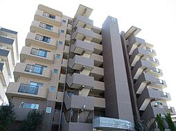 Vigoaisho春日井