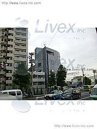 信明