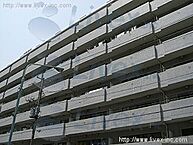 東京都中央区月島4丁目8-16：物件画像／株式会社　ライヴェックス