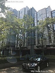 新宮 地下1階/B1階