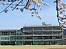 周辺：島本町立第一中学校（900m）