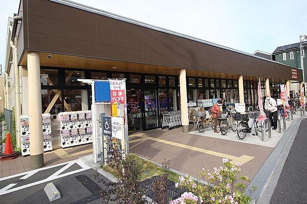 神奈川県川崎市幸区新小倉(賃貸マンション3LDK・11階・67.56㎡)の写真 その27