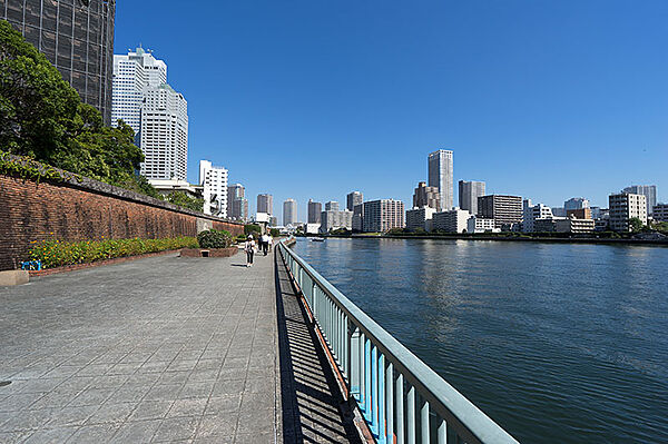 パークホームズセントラルシティ中央区湊 603｜東京都中央区湊３丁目(賃貸マンション2LDK・6階・57.56㎡)の写真 その26