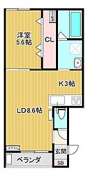 ＣｌａｒａII 3階/303
