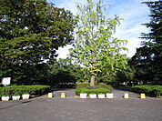 中央公園　600ｍ