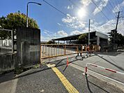 卸売市場入口