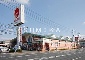 レヨン・ド・ルミエール  ｜ 岡山県岡山市北区津島東3丁目（賃貸アパート1LDK・2階・42.47㎡） その20