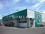 ザグザグ妹尾店 518m