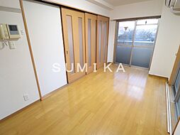 ラフィーネ大供 1DKの写真
