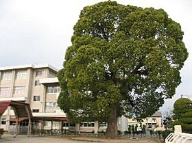 ミランダクラーラ  ｜ 岡山県岡山市東区松新町（賃貸アパート1R・1階・26.08㎡） その15