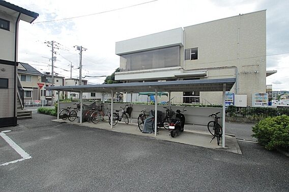 エバーグリーンA_その他_3