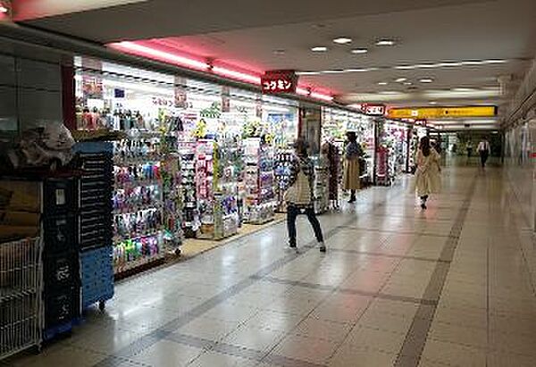 画像23:【ドラッグストア】コクミンドラッグ京阪天満橋駅店まで591ｍ