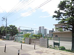 【中学校】厚木市立厚木中学校まで265ｍ