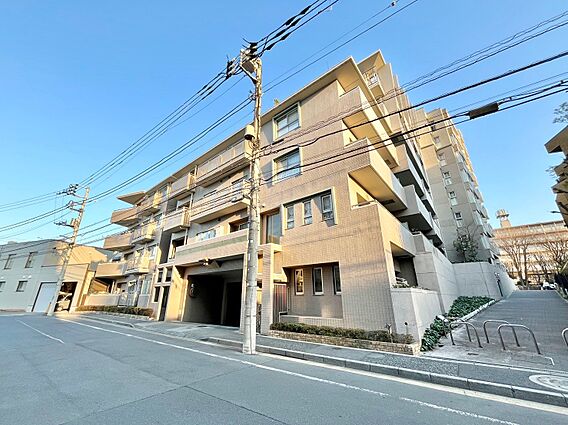 飽きのこないシ...