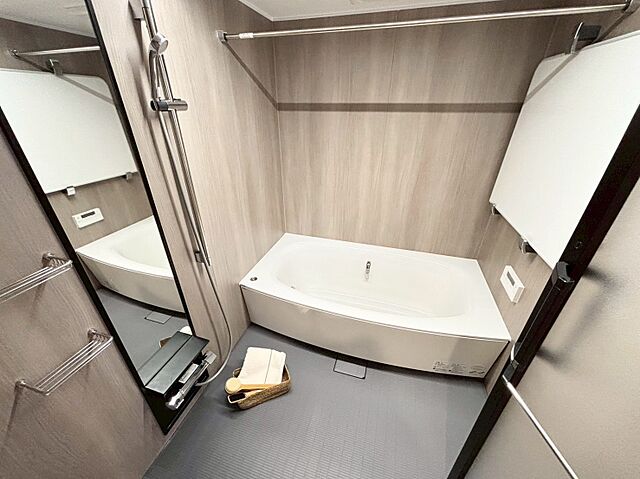 浴室 芝浦アイランドケープタワー 25階/-