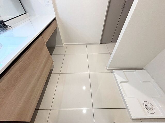 洗面 芝浦アイランドケープタワー 25階/-