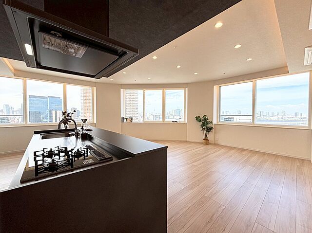 室内 芝浦アイランドケープタワー 25階/-