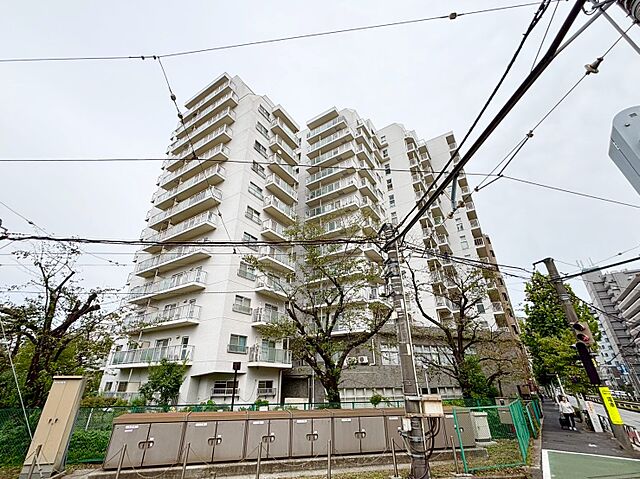 外観 ニューライフ西早稲田 13階/-