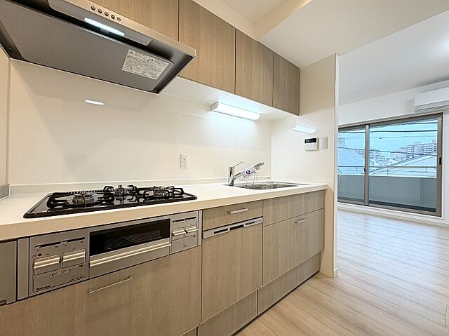 キッチン プラーティノ多摩川鵜の木弐番館 3階/-