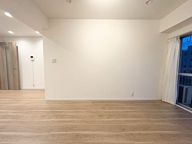 室内 ライオンズマンション川崎 3階/-