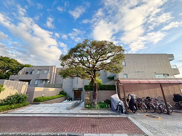 外観 パーク・コート山王 2階/-