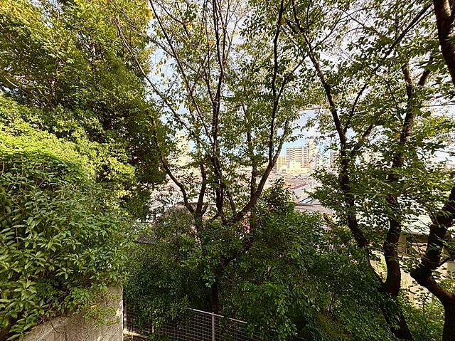 バルコニー パーク・コート山王 2階/-