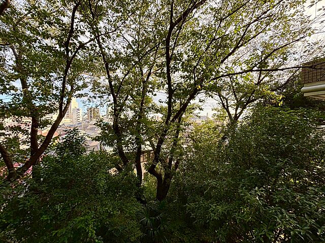 バルコニー パーク・コート山王 2階/-